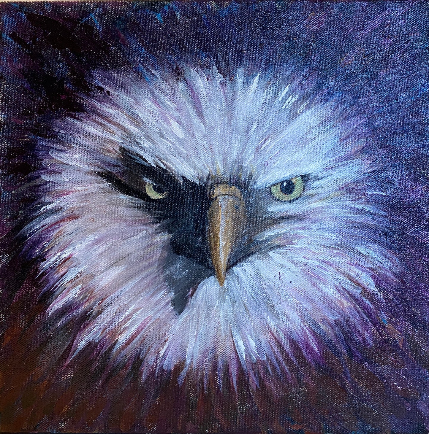 Eagle #1 - 12 x 12 x 1 1/2"