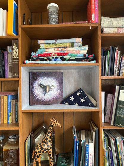 Eagle #1 - 12 x 12 x 1 1/2"