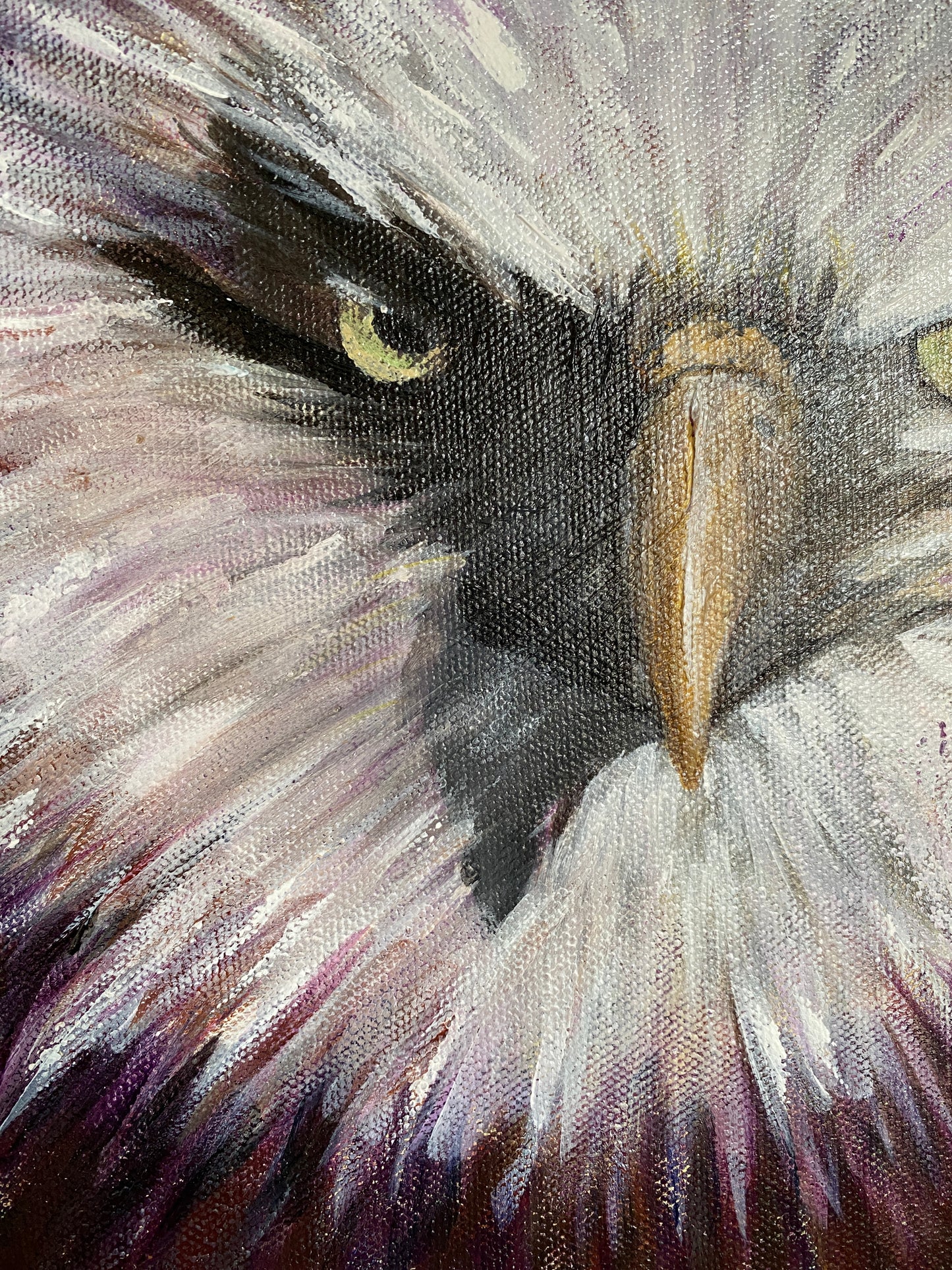 Eagle #1 - 12 x 12 x 1 1/2"
