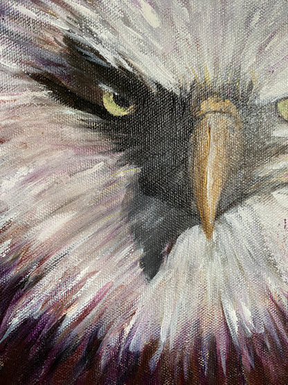 Eagle #1 - 12 x 12 x 1 1/2"